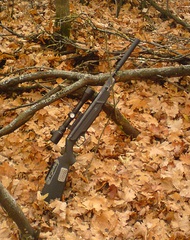 click for enlarge 509 X 642 189,3 Kb picture