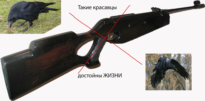 click for enlarge 1920 X 952 536.1 Kb picture