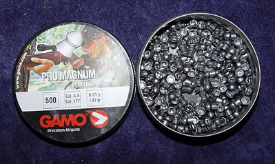 click for enlarge 1200 X 716 167.1 Kb picture