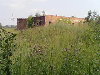 click for enlarge 1600 X 1200 242.3 Kb picture