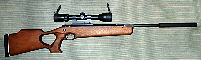 click for enlarge 800 X 240 114,7 Kb picture