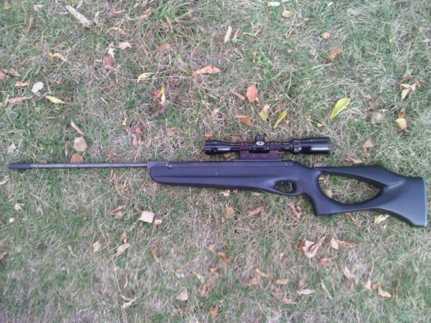 604 x 453