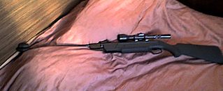 click for enlarge 750 X 308 186,0 Kb picture