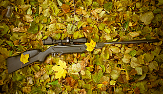 click for enlarge 1300 X 745 263,3 Kb picture