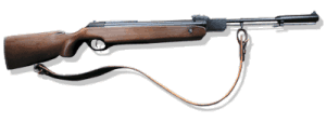 300 x 113