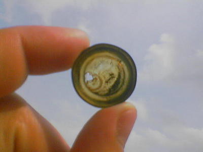 click for enlarge 640 X 480  21.9 Kb picture
