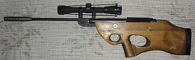 click for enlarge 800 X 246  49.0 Kb picture