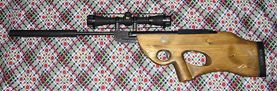 click for enlarge 600 X 197  85.9 Kb picture