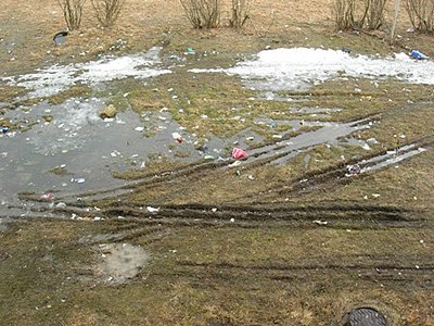 click for enlarge 448 X 336  59.1 Kb picture
