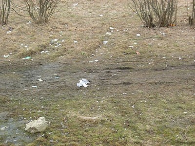 click for enlarge 640 X 480 126.8 Kb picture