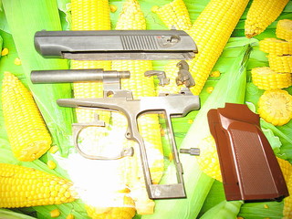 click for enlarge 1024 X 768 258.6 Kb