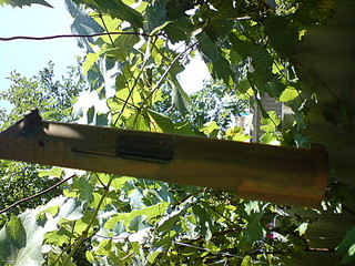 click for enlarge 1920 X 1440 850,3 Kb picture