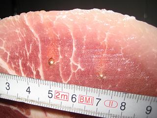 click for enlarge 1920 X 1440 278,1 Kb picture