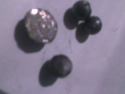 click for enlarge 640 X 480  58,6 Kb picture