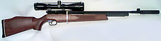 click for enlarge 800 X 206 63,5 Kb picture