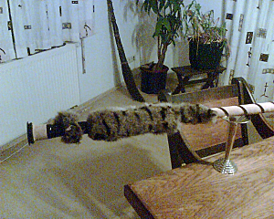 click for enlarge 600 X 480 307,3 Kb picture