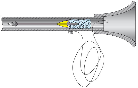 569 x 366