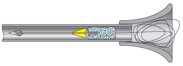 593 x 215
