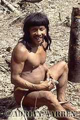 click for enlarge 261 X 390 55,9 Kb picture