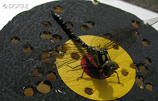 click for enlarge 845 X 540 89,0 Kb picture