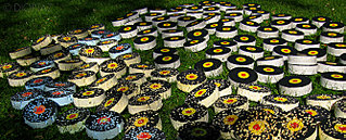 click for enlarge 1333 X 540 337,9 Kb picture