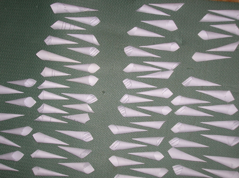 763 x 570