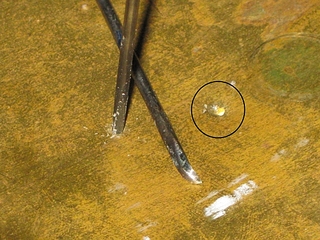 click for enlarge 584 X 438 250,4 Kb picture