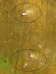click for enlarge 438 X 584 221,2 Kb picture