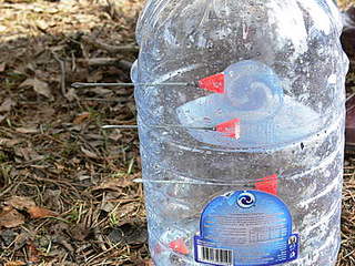 click for enlarge 400 X 300  49,8 Kb picture