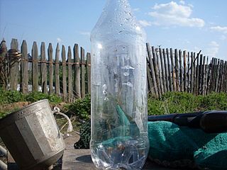 click for enlarge 800 X 600 109,9 Kb picture