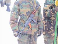 click for enlarge 667 X 500 53,4 Kb picture