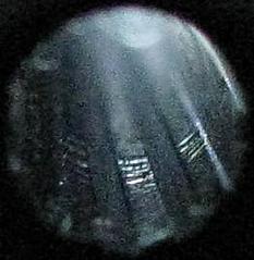 click for enlarge 262 X 269 17,6 Kb picture
