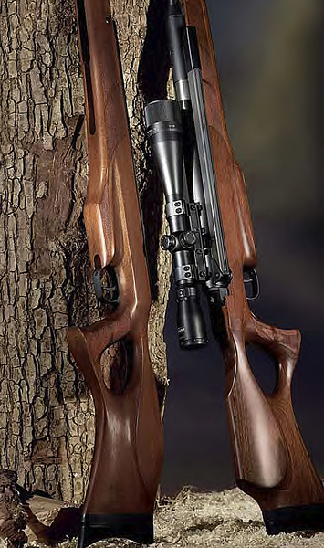 click for enlarge 518 X 875 390,9 Kb picture