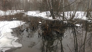 click for enlarge 1920 X 1076 913.2 Kb