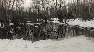 click for enlarge 1920 X 1076 899.1 Kb