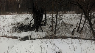 click for enlarge 1920 X 1076 823.3 Kb