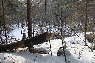 click for enlarge 1024 X 680 361.2 Kb