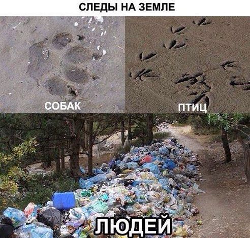 492 x 469