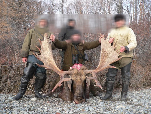 606 x 456