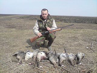 click for enlarge 1920 X 1440 817,5 Kb picture