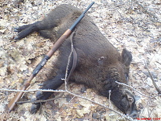 click for enlarge 1632 X 1224 493,7 Kb picture