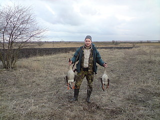 click for enlarge 1920 X 1440 784,5 Kb picture