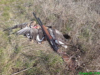 click for enlarge 1920 X 1440 741,9 Kb picture