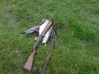 click for enlarge 1920 X 1440 768,2 Kb picture