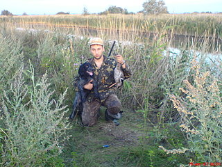 click for enlarge 1632 X 1224 480,2 Kb picture