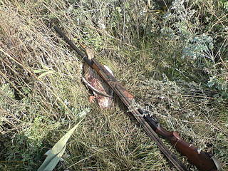 click for enlarge 1920 X 1440 841,4 Kb picture