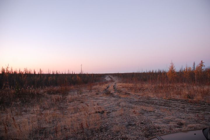 720 x 481