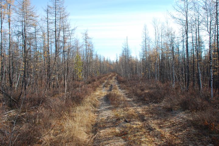 720 x 481