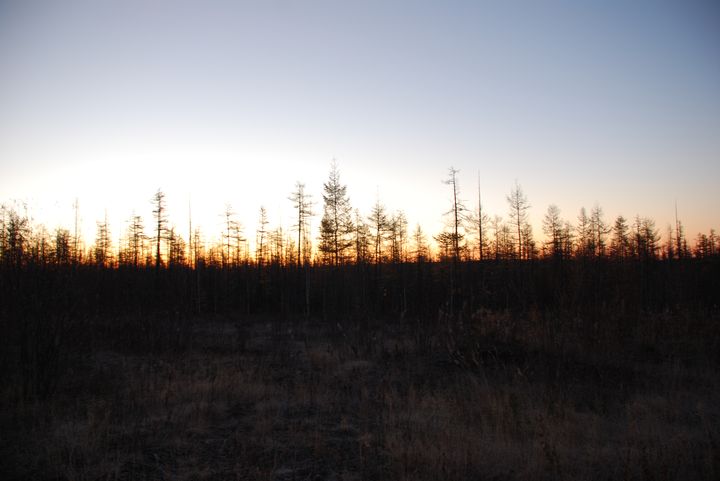 720 x 481