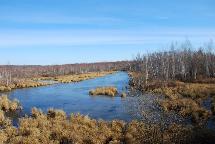 720 x 481